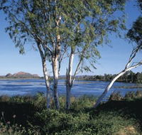 Celebrity Tree Park - Accommodation Adelaide