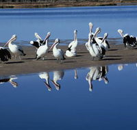 Peel Region Canoe Trails - Accommodation Adelaide
