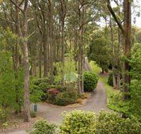 Mount Lofty Botanic Garden - Accommodation Adelaide