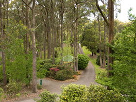 Mount Lofty Botanic Garden - Accommodation Adelaide 0