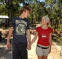 Crooked Brook Forest - Accommodation Adelaide