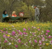 Gwambygine Park - Accommodation Adelaide