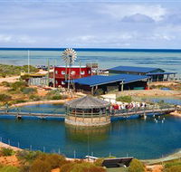 Ocean Park Aquarium - Accommodation Adelaide