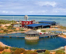 Ocean Park Aquarium - Accommodation Adelaide 0