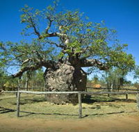 Pigeon Heritage Trail - Accommodation Adelaide
