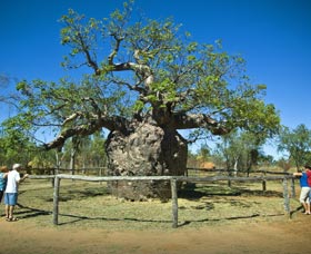 Pigeon Heritage Trail - Accommodation Adelaide 0