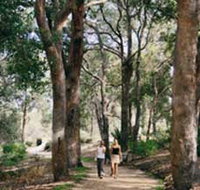 Law Trail and Lotterywest Federation Walkway Kings Park - Accommodation Adelaide