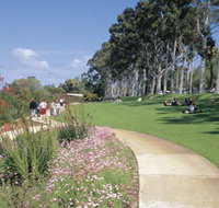 Kings Park Free Guided Walks - Accommodation Adelaide