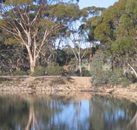 Merredin Railway Dam - Accommodation Adelaide