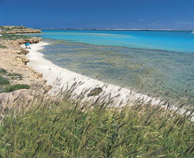 Paradise Beach - Accommodation Adelaide 0