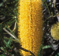 Moore River National Park - Accommodation Adelaide