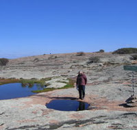 Dingo Rock - Accommodation Adelaide