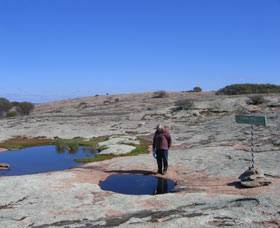 Dingo Rock - Accommodation Adelaide 0