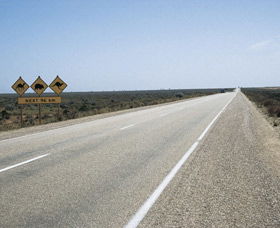 Eyre Highway - Accommodation Adelaide 0