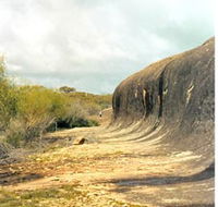 Totadgin Dam Reserve - Accommodation Adelaide