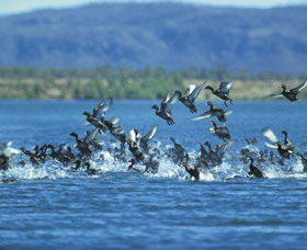 Ord River - Accommodation Adelaide 0