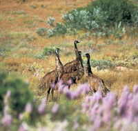 Jurabi Coastal Reserve - Accommodation Adelaide