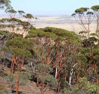 Mount Matilda Walk Trail Wongan Hills - Accommodation Adelaide