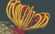 Muiron Islands - thumb 0
