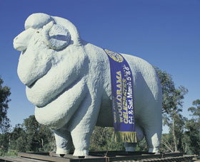 Giant Ram Tourist Park - Accommodation Adelaide 0