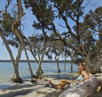 Stokes National Park - Accommodation Adelaide