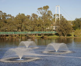 Suspension Bridge - Accommodation Adelaide 0
