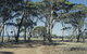 Lake Dumbleyung - thumb 0