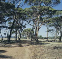 Lake Dumbleyung - Accommodation Adelaide