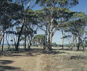 Lake Dumbleyung - Accommodation Adelaide 0