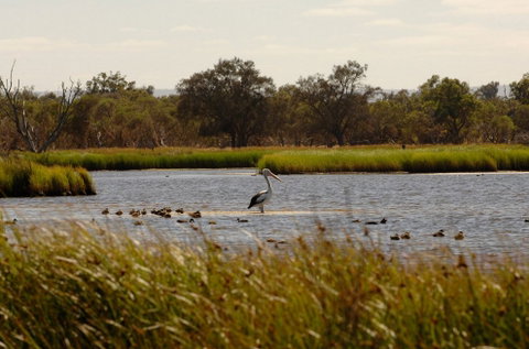 Anytime Adventures In Mandurah & The Peel Region - Accommodation Adelaide 0