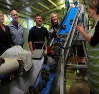 Eyre Peninsula's Seafood Trail - Accommodation Adelaide