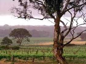  Accommodation Adelaide