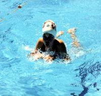 Mount Gambier Aquatic Centre - Accommodation Adelaide