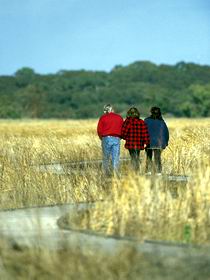 Onkaparinga River Recreation Park - Accommodation Adelaide 0