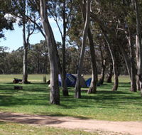 Black Cockatoo Bush Camp - Accommodation Adelaide