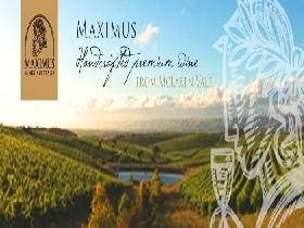 Maximus Wines Australia - Accommodation Adelaide 0