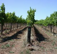 Temple Bruer Winery - Accommodation Adelaide