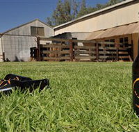 Wilkadene Woolshed Brewery - Accommodation Adelaide