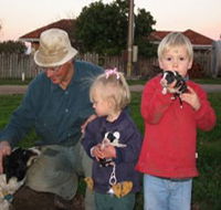 Orrie Cowie Merino and Poll Merino Stud - Accommodation Adelaide