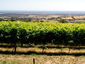  Accommodation Adelaide