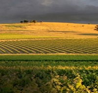 Kellermeister Wines - Accommodation Adelaide
