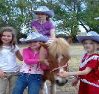 Amberainbow Pony Rides - Accommodation Adelaide