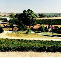 Irvine Wines - Accommodation Adelaide
