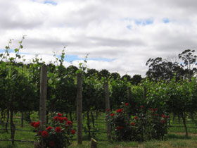  Accommodation Adelaide