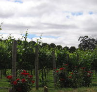 Manyara Vineyard - Accommodation Adelaide