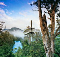 Tahune Adventures Tasmania - Accommodation Adelaide