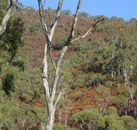 Black Hill Conservation Park - Accommodation Adelaide