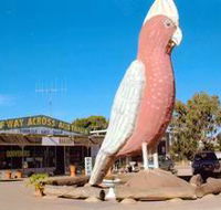 The Big Galah - Accommodation Adelaide