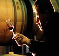 Salena Estate Wines - Accommodation Adelaide