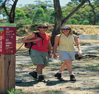 Riesling Trail - Accommodation Adelaide